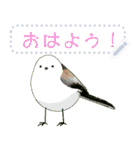 礼文島の野鳥くん(フリー文字)[修正版]（個別スタンプ：2）