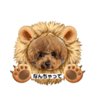 トイプードル マリン（個別スタンプ：1）