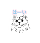 らくがき猫のむむ（個別スタンプ：1）