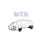 らくがき猫のむむ（個別スタンプ：3）