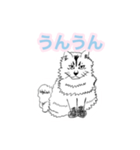 らくがき猫のむむ（個別スタンプ：5）