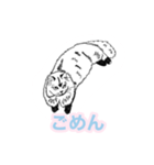 らくがき猫のむむ（個別スタンプ：13）