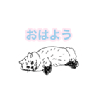 らくがき猫のむむ（個別スタンプ：17）