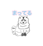 らくがき猫のむむ（個別スタンプ：19）