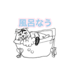 らくがき猫のむむ（個別スタンプ：20）