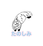 らくがき猫のむむ（個別スタンプ：22）