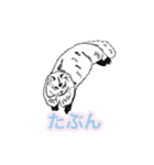 らくがき猫のむむ（個別スタンプ：29）