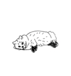 らくがき猫のむむ（個別スタンプ：33）