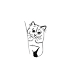 らくがき猫のむむ（個別スタンプ：34）