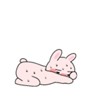 愛する人との日常会話⭐︎可愛いうさぎと猫（個別スタンプ：17）