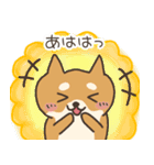 ＊いぬ・ねこ・うさぎの仲良しスタンプ＊（個別スタンプ：13）