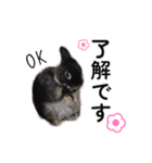 ららとべる（個別スタンプ：3）