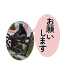 ららとべる（個別スタンプ：4）