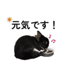 ららとべる（個別スタンプ：5）