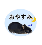 ららとべる（個別スタンプ：6）