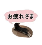 ららとべる（個別スタンプ：7）