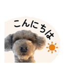 ららとべる（個別スタンプ：8）