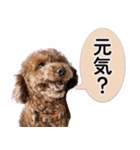 ららとべる（個別スタンプ：9）