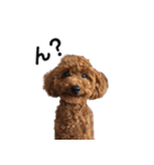 ららとべる（個別スタンプ：10）
