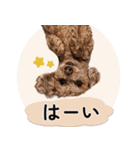 ららとべる（個別スタンプ：11）