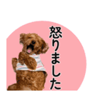 ららとべる（個別スタンプ：12）