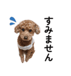 ららとべる（個別スタンプ：13）