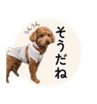 ららとべる（個別スタンプ：14）