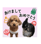 ららとべる（個別スタンプ：15）