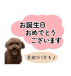 ららとべる（個別スタンプ：16）