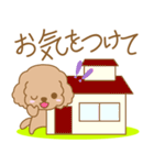 わんこ日和(茶プー)-toYvu-（個別スタンプ：26）