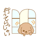 わんこ日和(茶プー)-toYvu-（個別スタンプ：27）