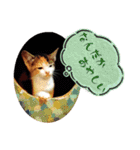 タイラーさんと仔猫たち（個別スタンプ：14）