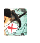 タイラーさんと仔猫たち（個別スタンプ：18）
