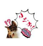 タイラーさんと仔猫たち（個別スタンプ：20）