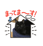 なつきち君（個別スタンプ：1）