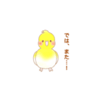 うちのオカメインコ ルルちゃん（個別スタンプ：6）