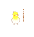 うちのオカメインコ ルルちゃん（個別スタンプ：8）