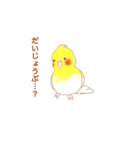 うちのオカメインコ ルルちゃん（個別スタンプ：14）