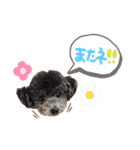 うちの子スタンプ•ᴗ•（個別スタンプ：2）