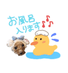 うちの子スタンプ•ᴗ•（個別スタンプ：8）