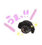 うちの子スタンプ•ᴗ•（個別スタンプ：14）