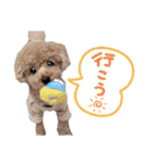 うちの子スタンプ•ᴗ•（個別スタンプ：18）