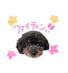 うちの子スタンプ•ᴗ•（個別スタンプ：34）