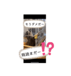 チワワブルータンホワイトフォーンホワイト（個別スタンプ：12）