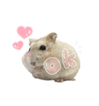 ハムスターのうにたん（個別スタンプ：3）