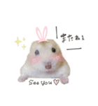 ハムスターのうにたん（個別スタンプ：4）