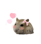 ハムスターのうにたん（個別スタンプ：8）