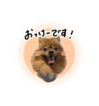 ぽぽんぷ‼︎（個別スタンプ：2）