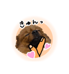 ぽぽんぷ‼︎（個別スタンプ：8）