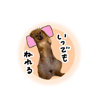 ぽぽんぷ‼︎（個別スタンプ：14）